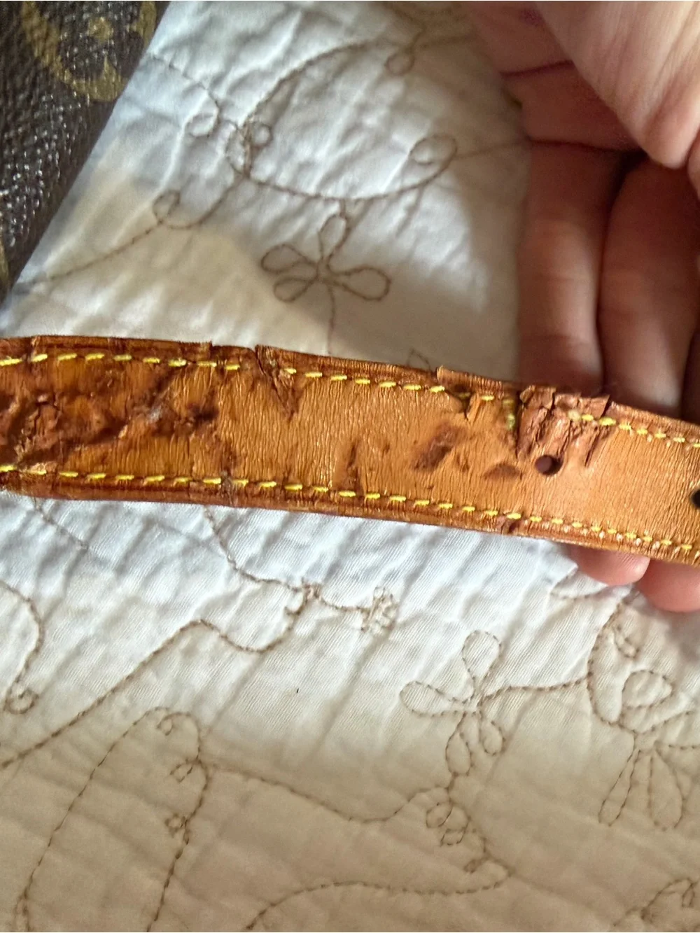 Louis Vuitton iconic louis